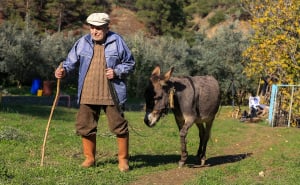 Foto: AA / Djed Raif sa svojim magarcem