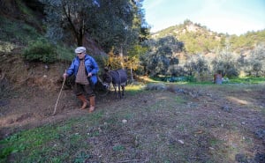 Foto: AA / Djed Raif sa svojim magarcem