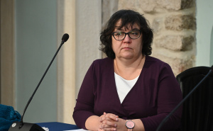 Foto: N.G / Radiosarajevo.ba / Bošnjački institut