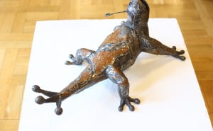 Foto: Dž. K. / Radiosarajevo.ba / Izložba u Vijećnici