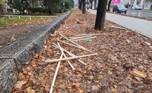 Foto: Hercegovina info / Palice u Mostaru