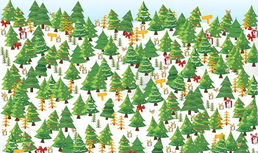 Božićna drvca, mozgalica