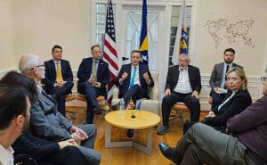 Foto: Facebook / Denis Bećirović s bh. dijasporom