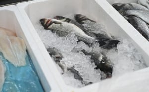 Foto: N. G. / Radiosarajevo.ba / Cijene u gradskoj tržnici