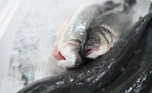 Foto: N. G. / Radiosarajevo.ba / Cijene u gradskoj tržnici