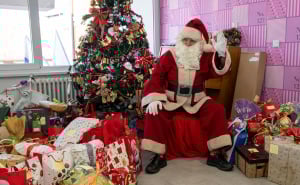 Foto: Bingo City Center / Oživimo želje