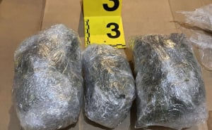 Foto: MUP KS / Akcija MUP KS