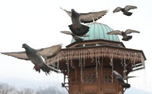 Foto: N. G. / Radiosarajevo.ba / Petak na Baščaršiji