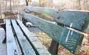 Foto: A. K. / Radiosarajevo.ba / Jutarnji mraz zabijelio Sarajevo