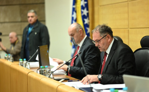 Foto: N. G. / Radiosarajevo.ba / Sjednica Doma naroda Parlamenta Federacije BiH