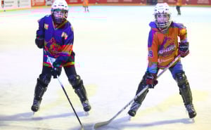 Foto: Dž. K. / Radiosarajevo.ba / Zimska čarolija na Skenderiji