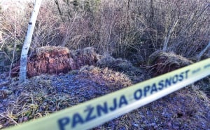 Foto: A.K./Radiosarajevo.ba / Najbolje fotografije na našem portalu u 2025.