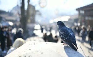 Foto: A.K./Radiosarajevo.ba / Prvi januar na Baščaršiji