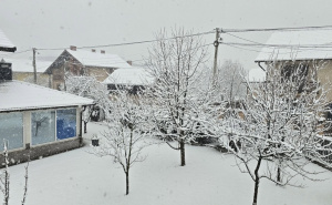 FOTO: Facebook / Živinice