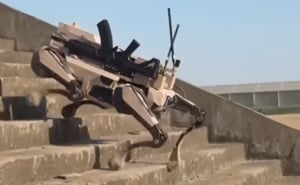 Foto: Sky News / Robotski vukovi