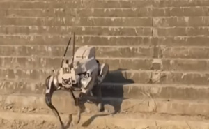 Foto: Sky News / Robotski vukovi