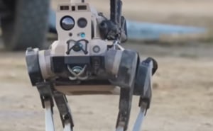 Foto: Sky News / Robotski vukovi