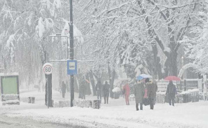 FOTO: Radiosarajevo.ba / Stali tramvaji u Sarajevu