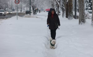 Foto: Dž. K. / Radiosarajevo.ba / Dobrinja
