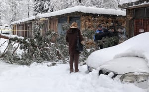 Foto: A. K. / Radiosarajevo.ba / Stablo na Grbavici palo na ženu