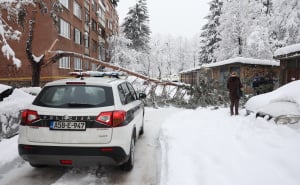 Foto: A. K. / Radiosarajevo.ba / Stablo na Grbavici palo na ženu