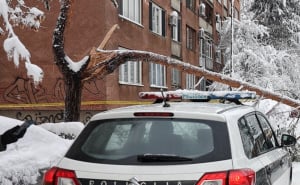 Foto: A. K. / Radiosarajevo.ba / Stablo na Grbavici palo na ženu