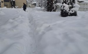 Foto: ViK / Facebook / Mehanizacija ViK-a na terenu