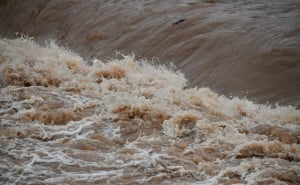 Foto: A. K. / Radiosarajevo.ba / Miljacka