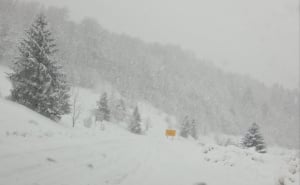 Foto: Čitatelj / Rogoj