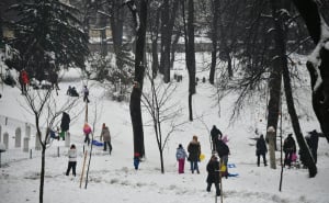 Foto: A. K. / Radiosarajevo.ba / Sankanje u Velikom parku u Sarajevu