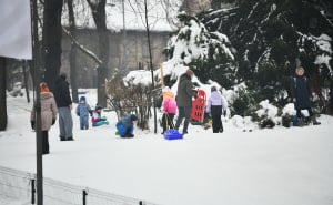 Foto: A. K. / Radiosarajevo.ba / Sankanje u Velikom parku u Sarajevu