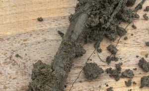 Foto: Facebook / Posmrtni ostaci