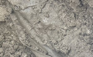 Foto: Facebook / Mezar