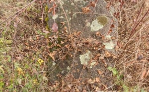 Foto: Bassania / Uništene nekropole