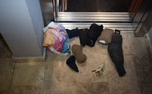 Foto: MUP ZDK / Zaplijenjena droga i oružje