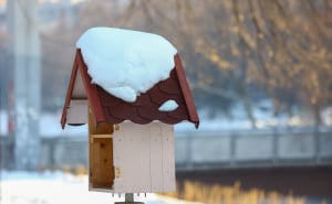 Foto: Dž. K. / Radiosarajevo.ba / Sunce u Sarajevu