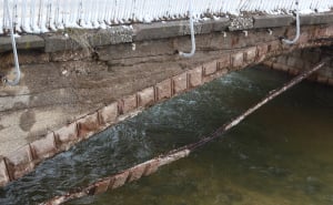 Foto: Dž. K. / Radiosarajevo.ba / Carev most