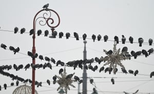 Foto: N. G. / Radiosarajevo.ba / Zagađen zrak u Sarajevu