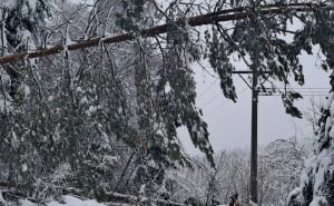 Foto: Elektroprivreda BiH / Brojni kvarovi na mreži