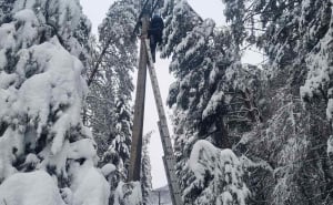 Foto: Elektroprivreda BiH / Brojni kvarovi na mreži
