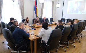 Foto: Foto: Ministarstvo vanjske trgovine i ekonomskih odnosa BiH / Sa sastanka Košarca i predstavnika Laborde Law