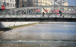 Foto: A. K. / Radiosarajevo.ba / Patke u Miljacki