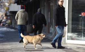 Foto: Dž. K. / Radiosarajevo.ba / Nedjelja u Sarajevu