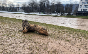 Foto: A.K./Radiosarajevo.ba / Ilidža