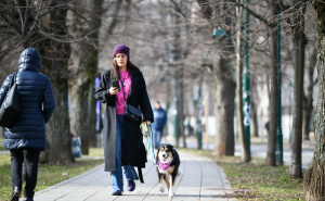 Foto: A.K./Radiosarajevo.ba / Šetnja na Vilsonovom šetalištu