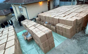 Foto: MUP Srbije / Zapljena marihuane