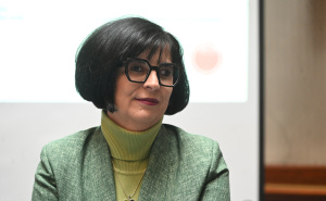 Foto: N. G. / Radiosarajevo.ba / Linija za pomoć braniteljima i braniteljicama ljudskih prava u BiH