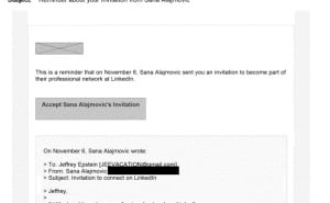 Foto: Justice.org / Screenshot / Objavljeni emailovi Sane Alajmović