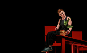 Foto: N.G / Radiosarajevo.ba / Predstava "Uhvati zeca"