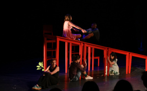 Foto: N.G / Radiosarajevo.ba / Predstava "Uhvati zeca"